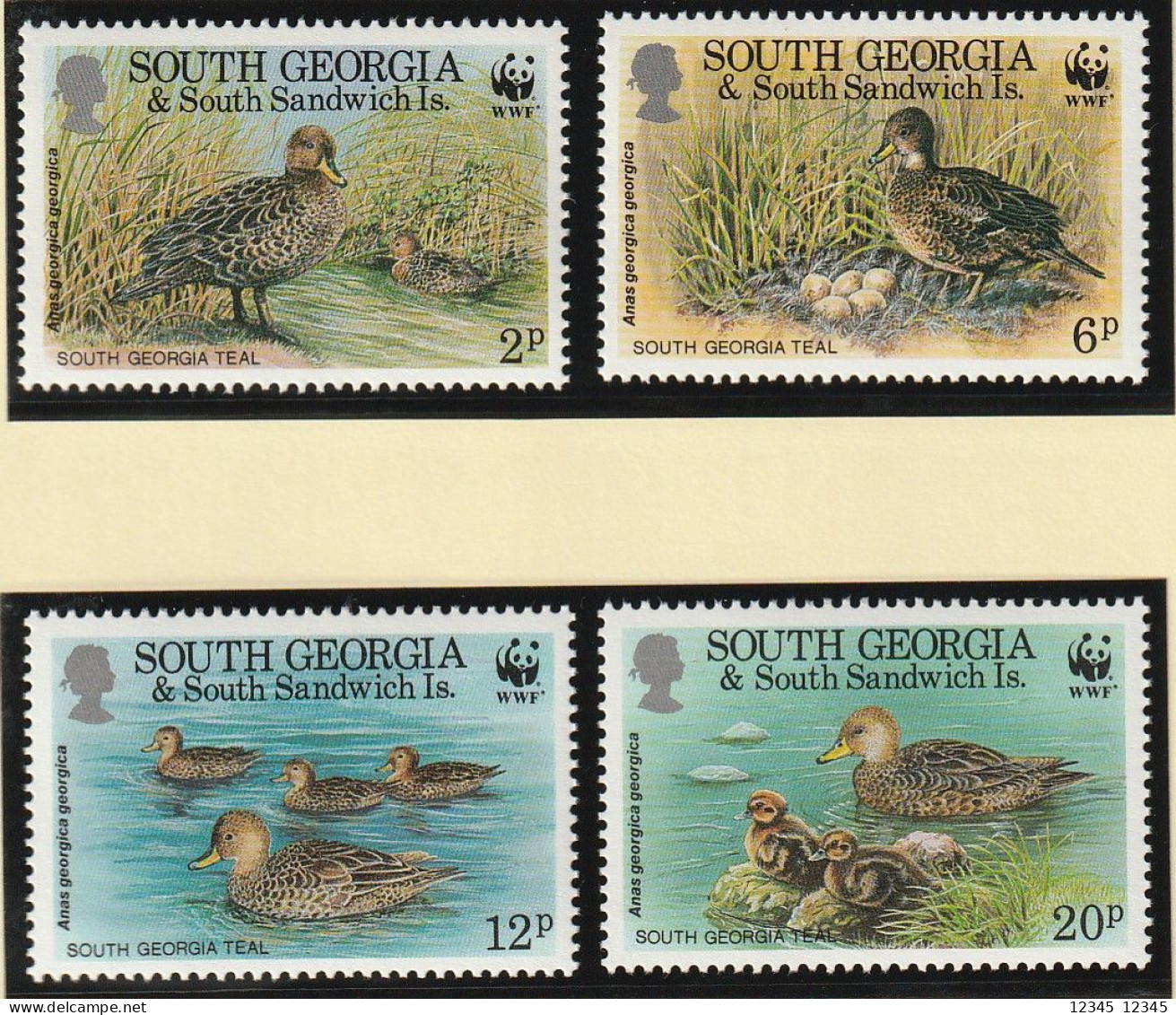 Zuid Georgië 1992, Postfris MNH, WWF, Ducks, Birds - Géorgie Du Sud