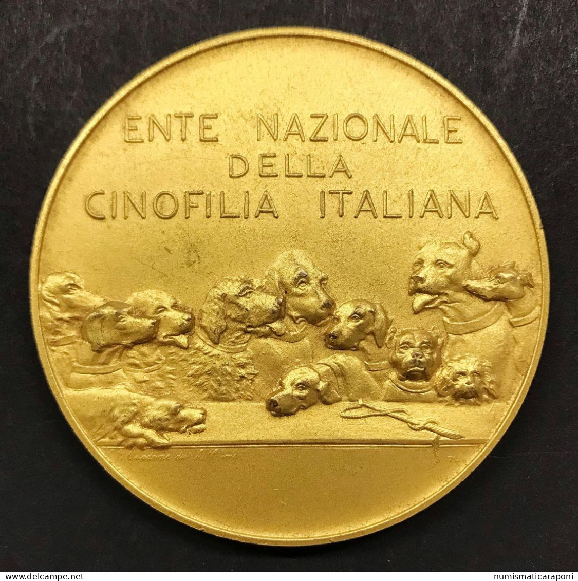 Medaglia Esposizione Nazionale Canina 50 Mm - Royaux/De Noblesse