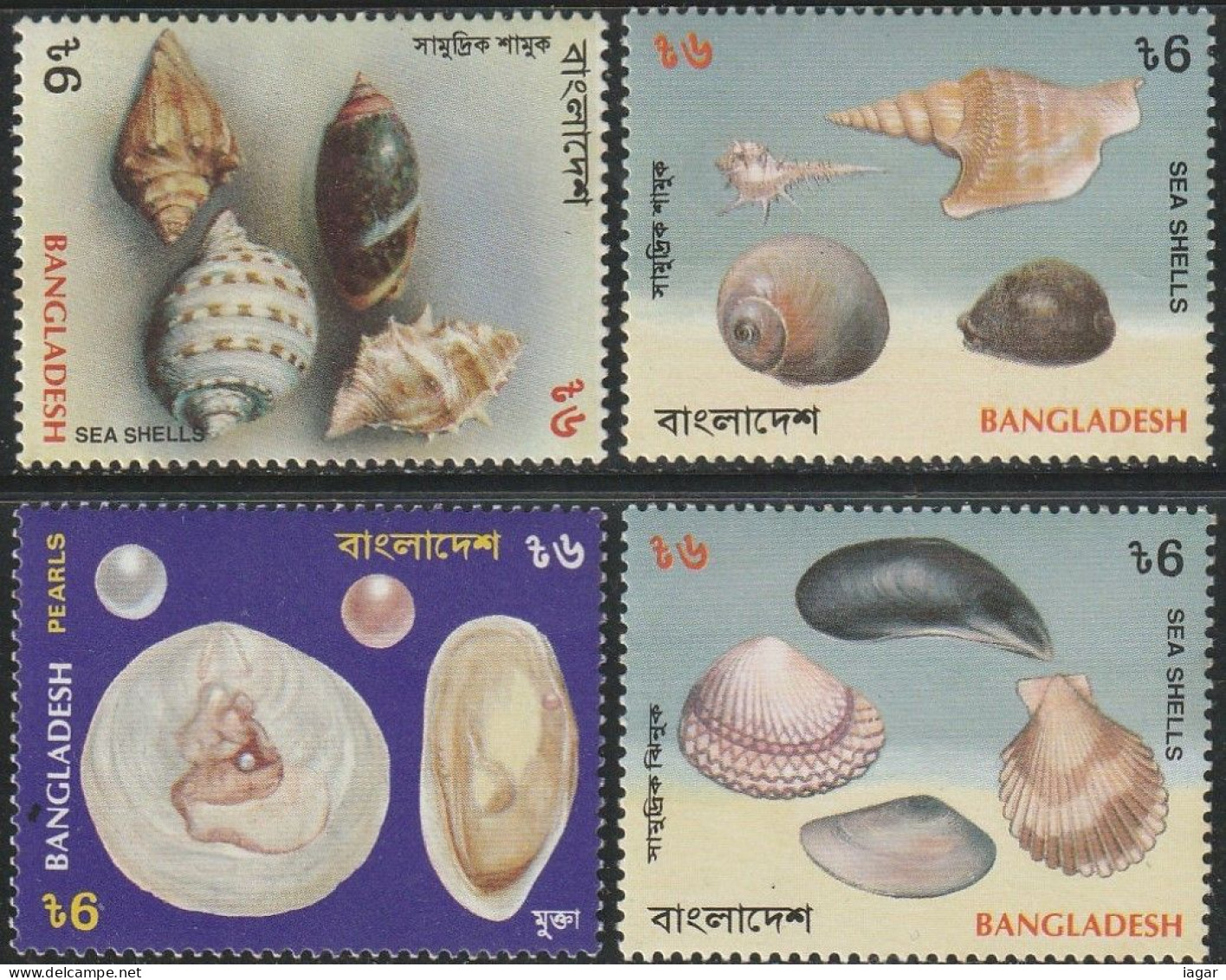 THEMATIC FAUNA: SEA SHELLS.  PINK AND WHITE PEARLS WITH WINDOWPANE OYSTERS, ASIATIC  ARABIAN COWRIE ETC   -   BANGLADESH - Conchas