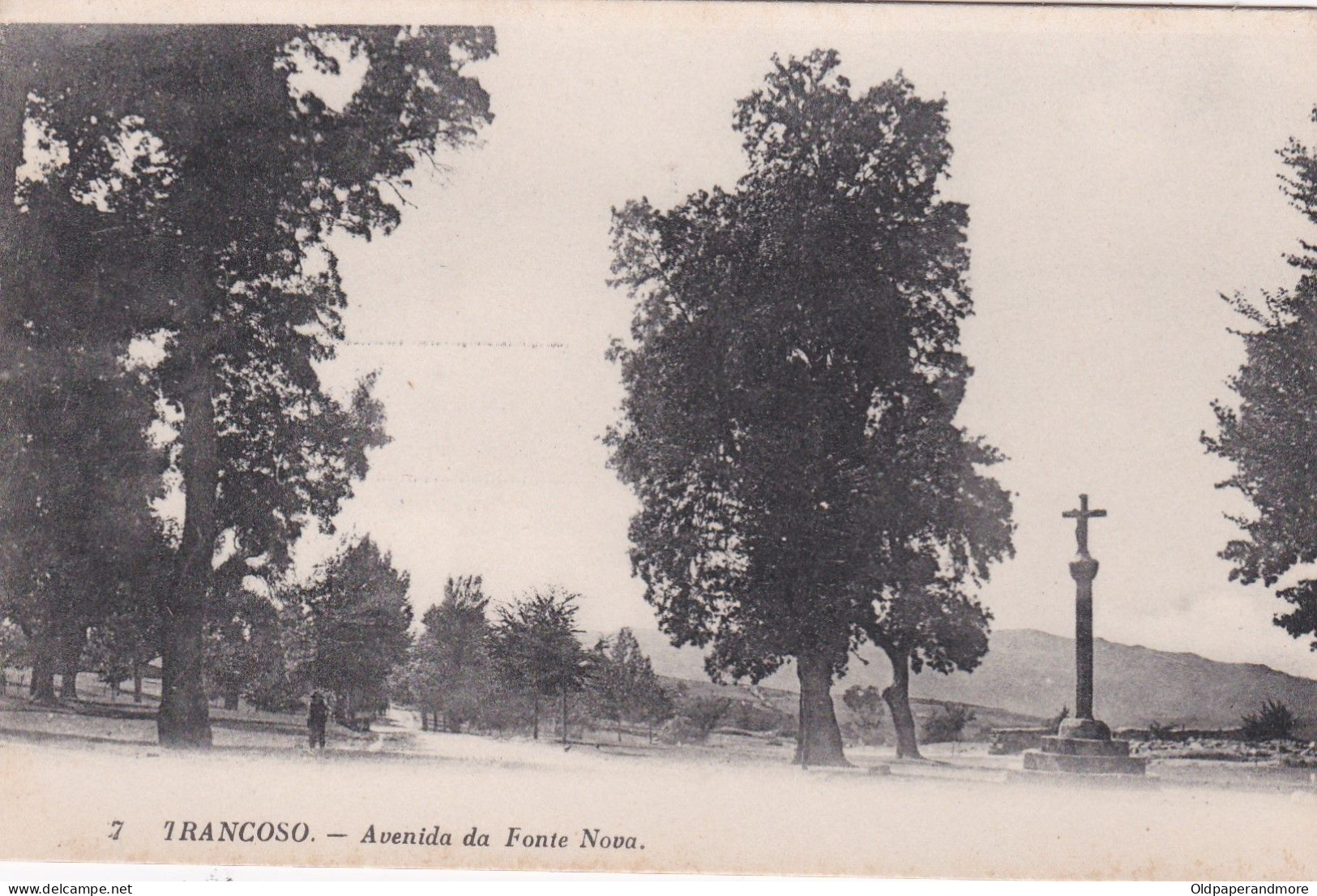 POSTCARD PORTUGAL - TRANCOSO - AVENIDA DA FONTE NOVA - Guarda