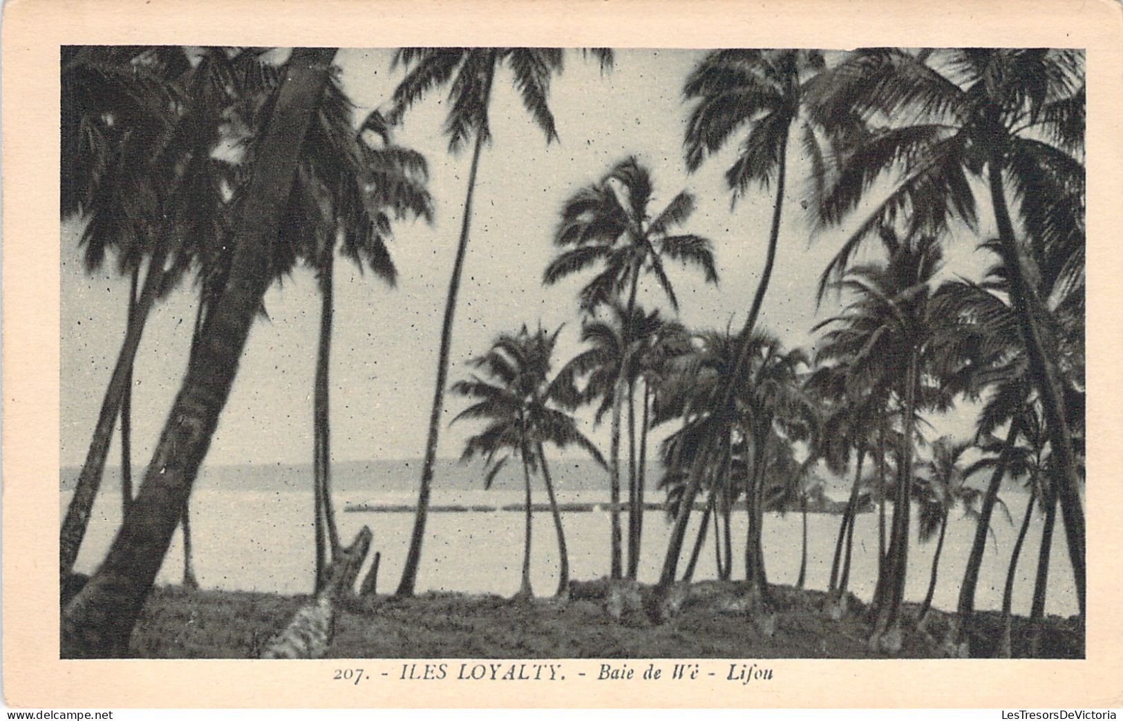 Nouvelle Caledonie - Iles Loyalty - Baie De Wé - Lifou - Carte Postale Ancienne - Nieuw-Caledonië
