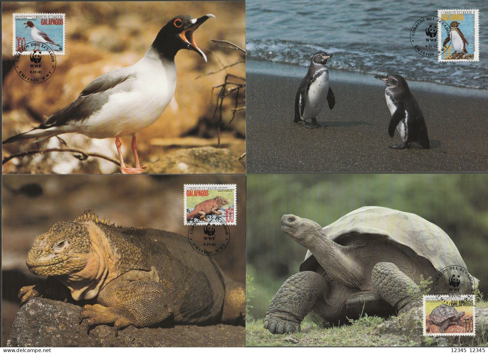 Galapagos 1992, Maximum Cards Unused, WWF, Turtle, Birds, Land Iguana - Equateur