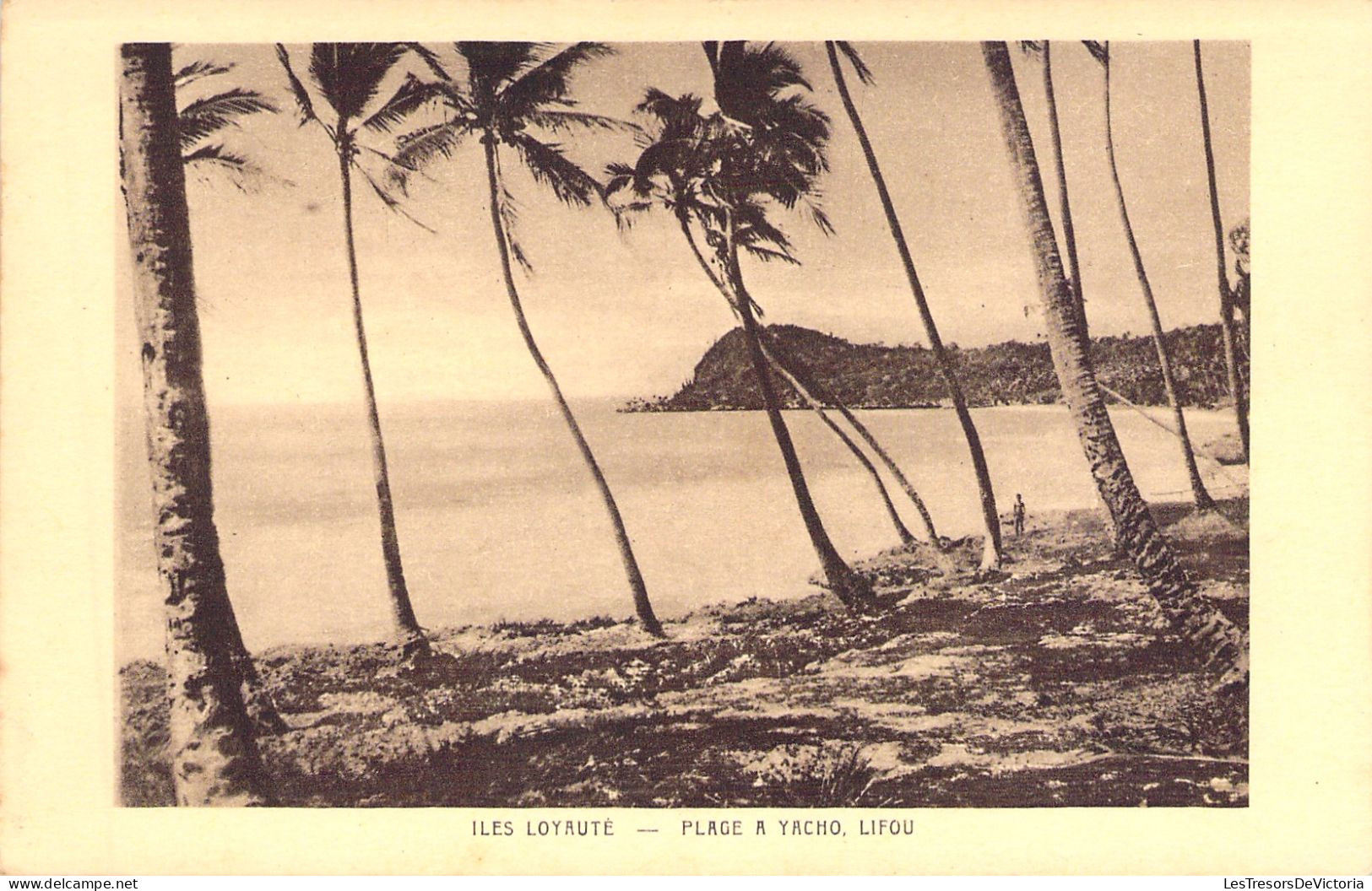 Nouvelle Caledonie - Iles Loyauté - Plage A Yacho - Lifou - Carte Postale Ancienne - Nuova Caledonia
