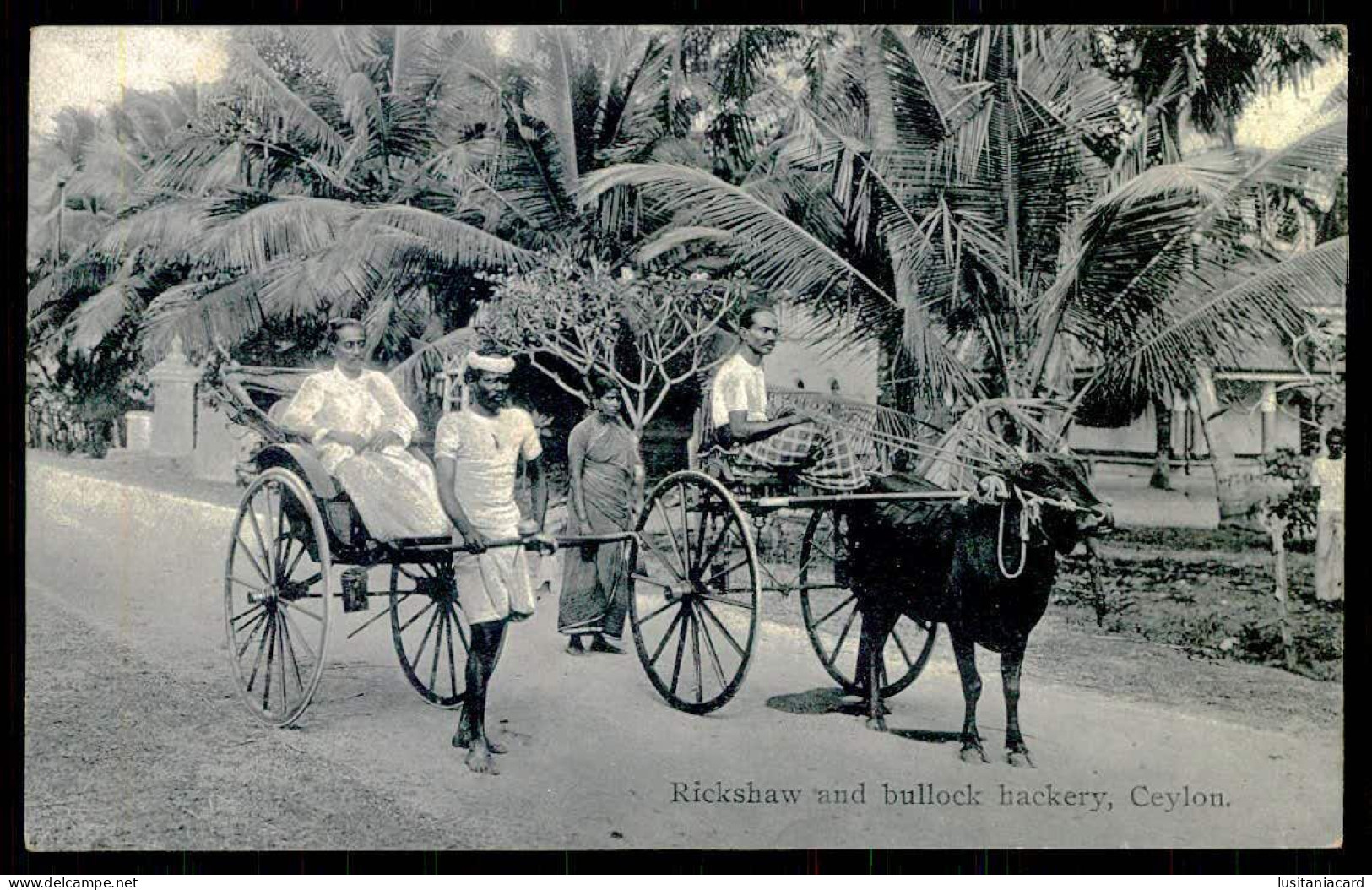 SRI LANKA (CEYLON) -  Rickshaw And Bullock Hackery. ( Ed.Plâté Ltd. Nº 31) Carte Postale - Sri Lanka (Ceylon)