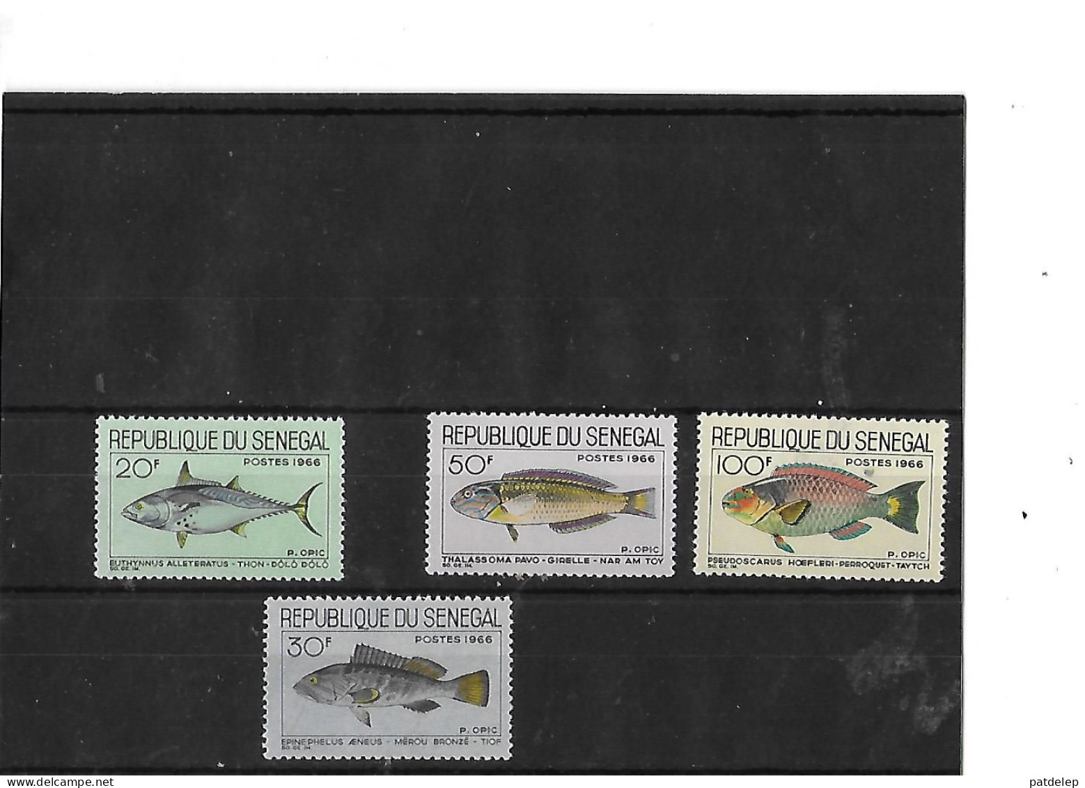 Senegal Poissons 1966  NSC - Fishes