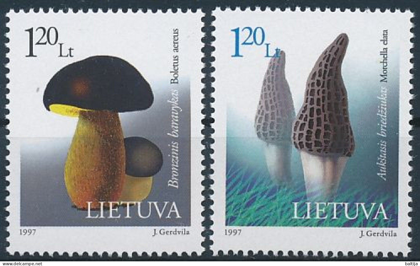 Mi 649-650 ** MNH / Fungi, Mushrooms, Bolete, Boletus Aereus, Morel, Morchella Elata - Lithuania