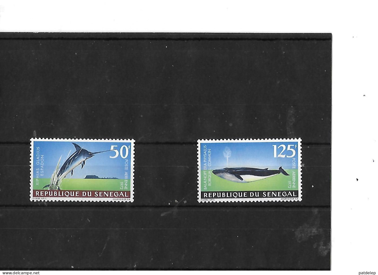 Senegal Poissons 1973  NSC - Fishes