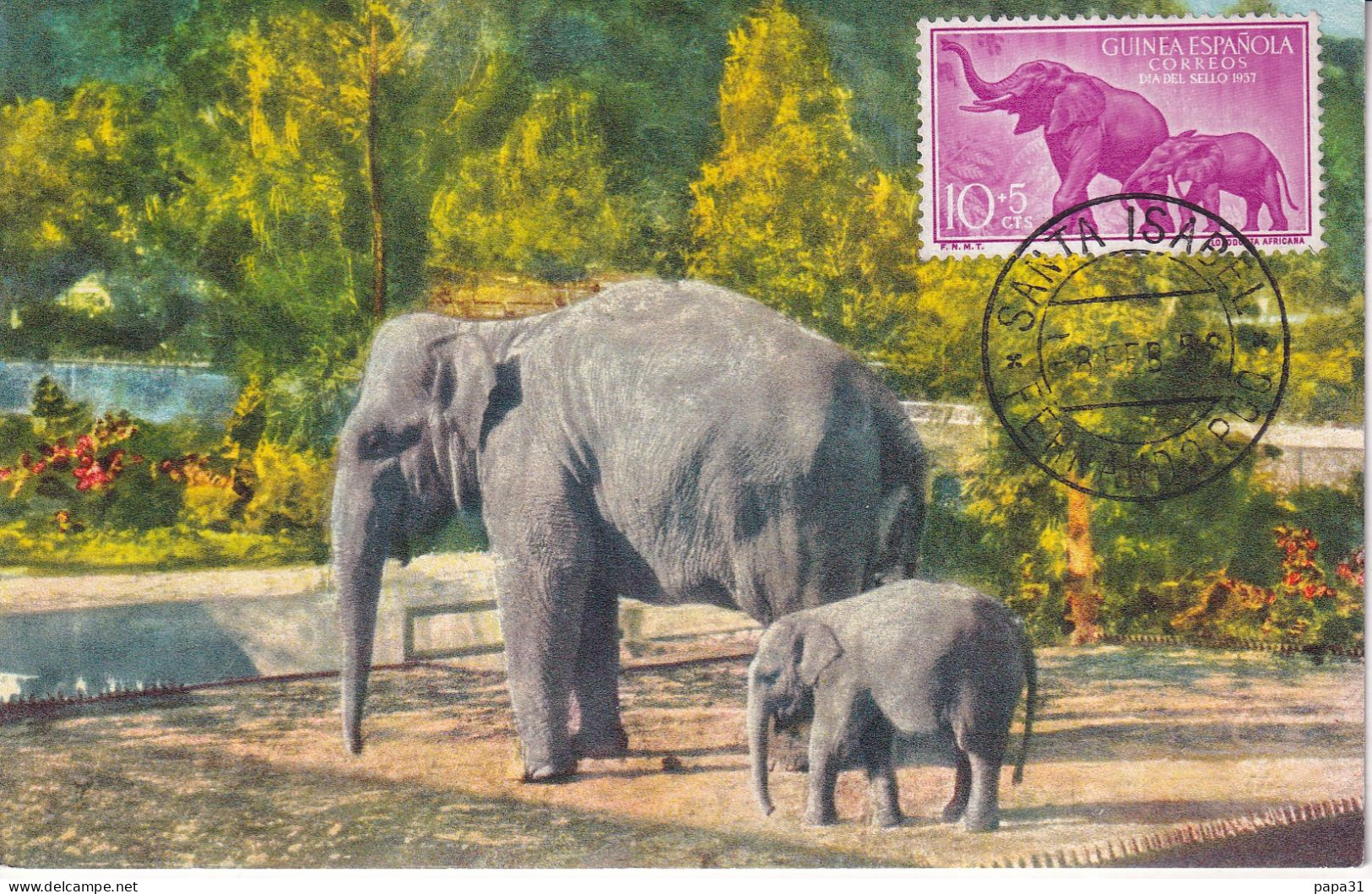 Elephants Avec Un Timbre De Guinea Espagnola - Elephants