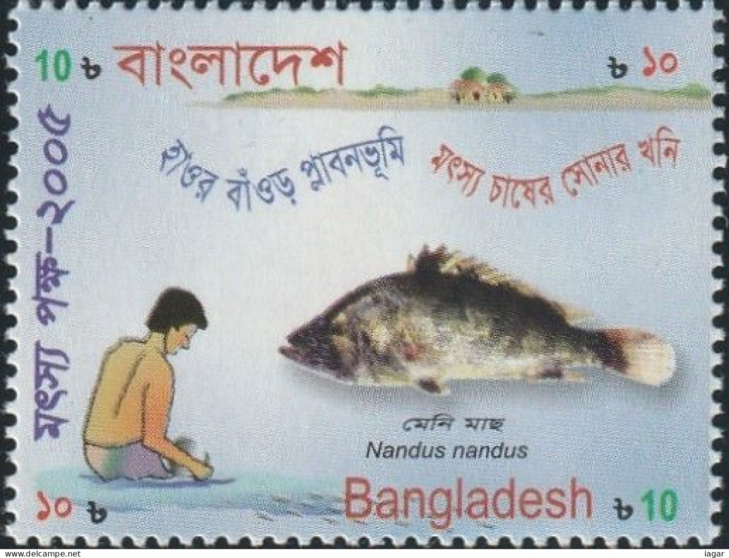 THEMATIC FEEDING:  FISH FORTNIGHT, NANDUS NANDUS   -   BANGLADESH - Levensmiddelen