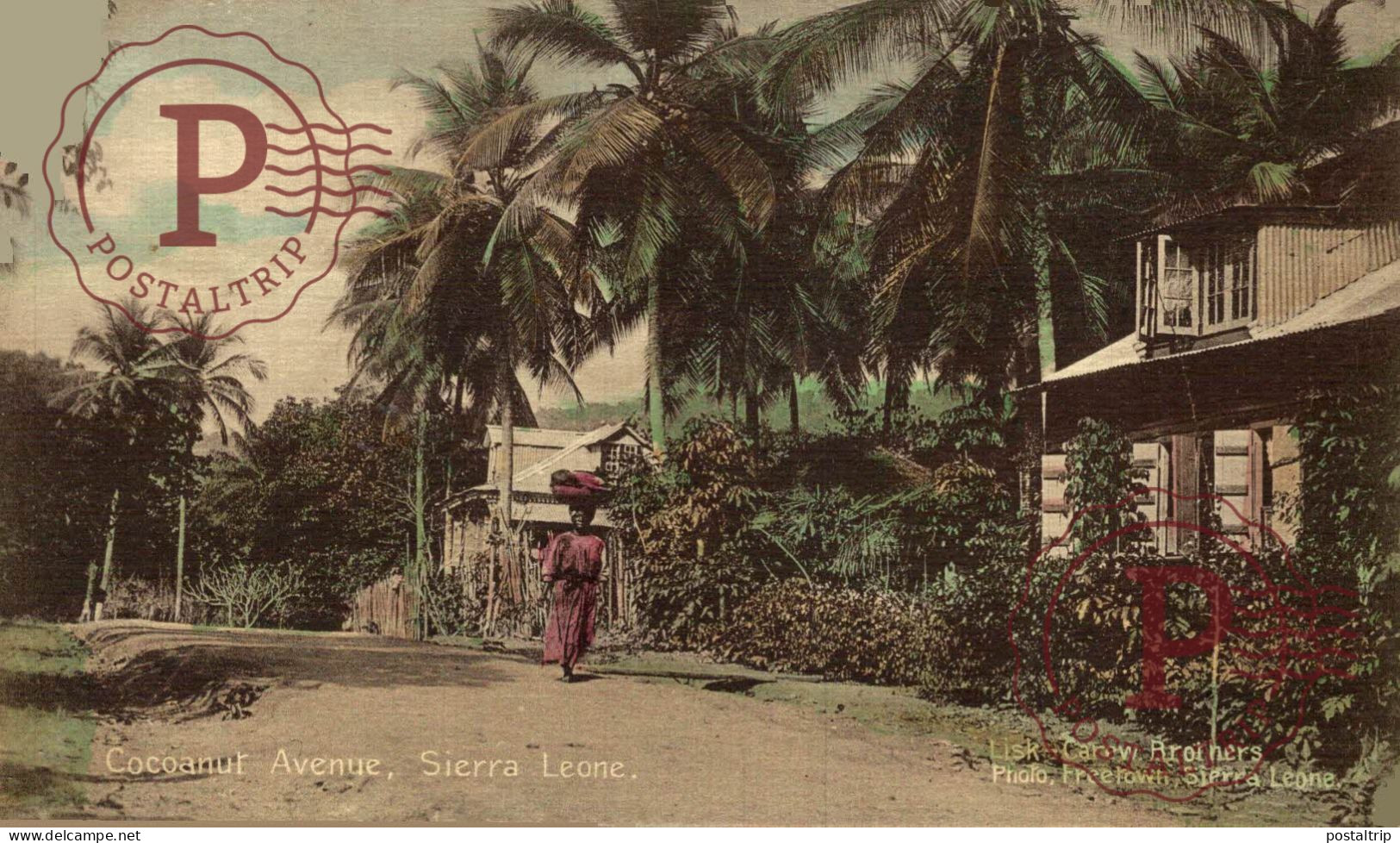 SIERRA LEONA. SIERRA LEONE. COCOANUT AVENUE. - Sierra Leone