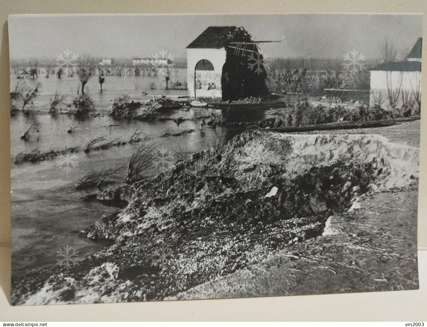 Cartolina Foto LUX Rovigo. Alluvione Novembre 1951. Desolazione Mentre Le Acque Si Ritirano. FG - Rovigo