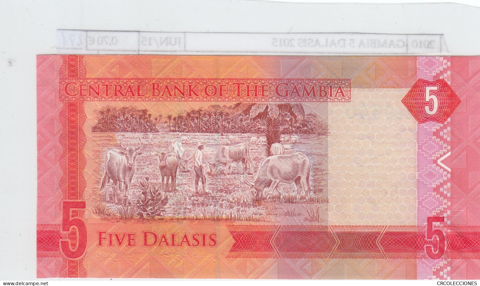 BILLETE GAMBIA 5 DALASIS 2015 P-60b SIN CIRCULAR - Other - Africa