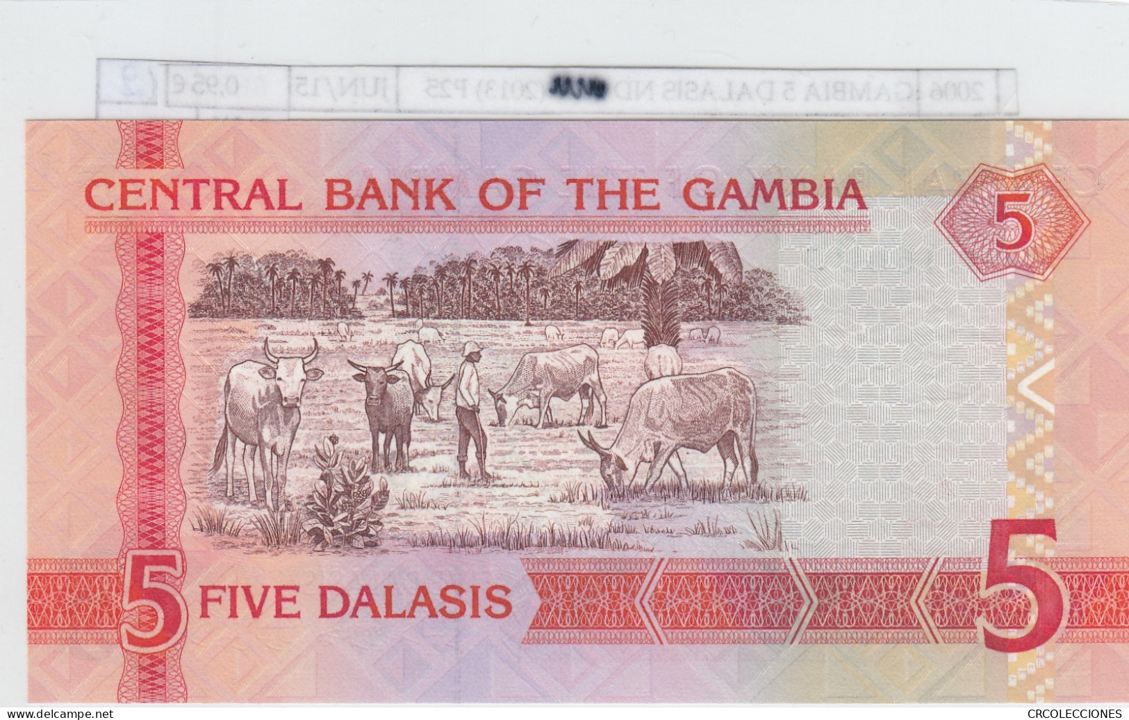 BILLETE GAMBIA 5 DALASIS 2013 P-25c SIN CIRCULAR - Autres - Afrique