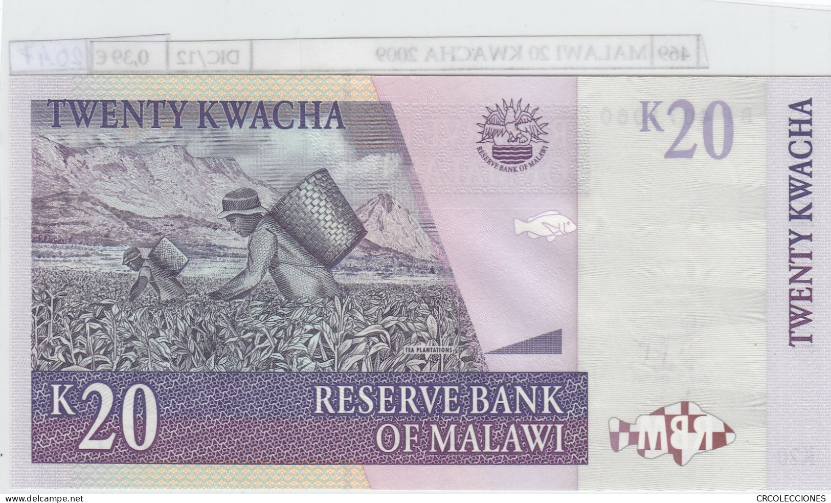 BILLETE MALAWI 20 KWACHA 2009 P-52e SIN CIRCULAR - Autres - Afrique