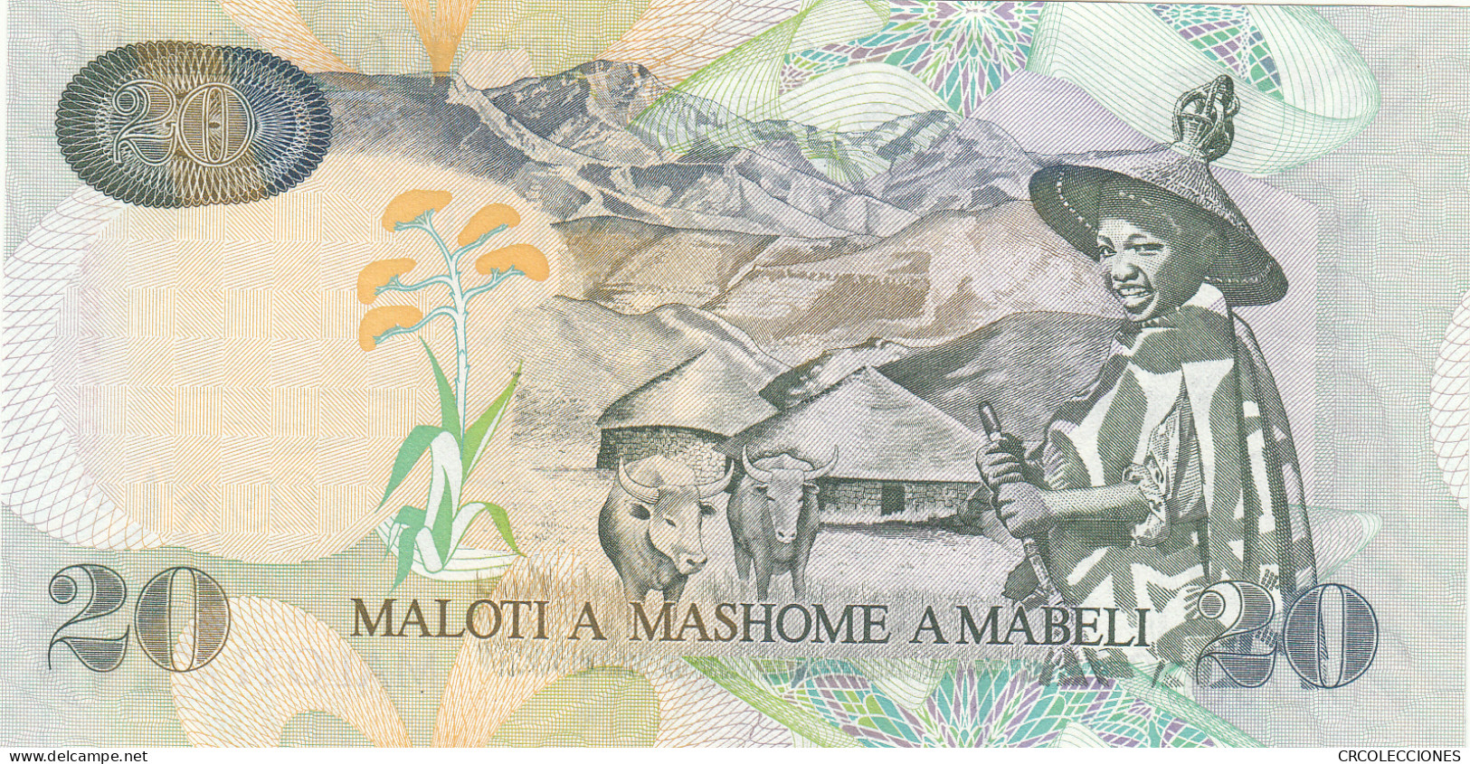 BILLETE LESOTHO 20 MALOTI 2009 P-16g SIN CIRCULAR  - Autres - Afrique