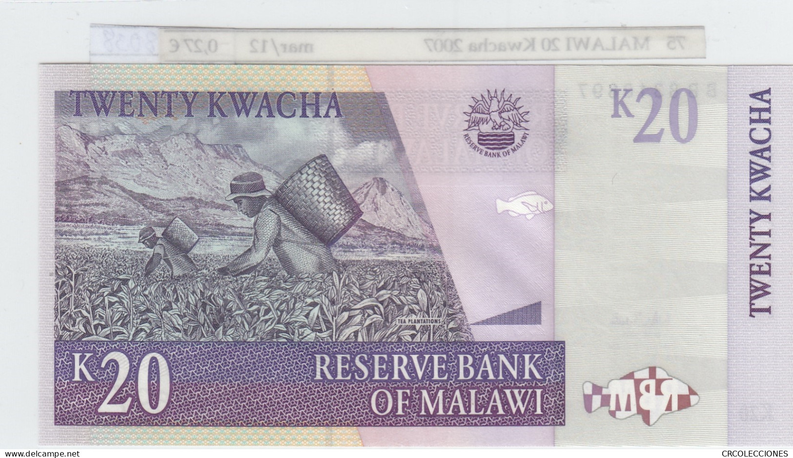 BILLETE MALAWI 20 KWACHA 2007 P-52d SIN CIRCULAR - Sonstige – Afrika