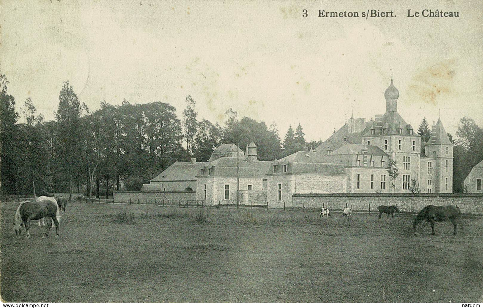 Ermeton Sur Biert, Le Câtheau, RARE Vue De Côté Avec Des Chevaux - Mettet