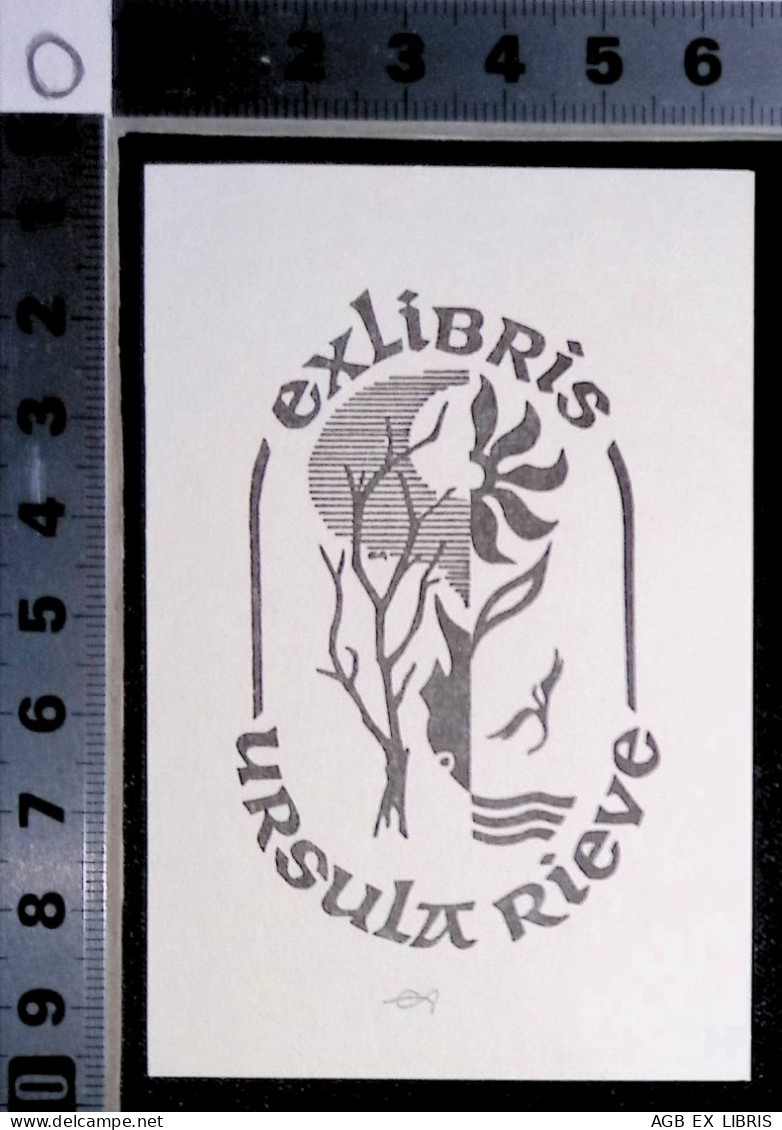 EX LIBRIS ERICH AULITZKY Per URSULA RIEVE L27bis-F02 EXLIBRIS Opus 14 PICCOLO FORMATO - Exlibris