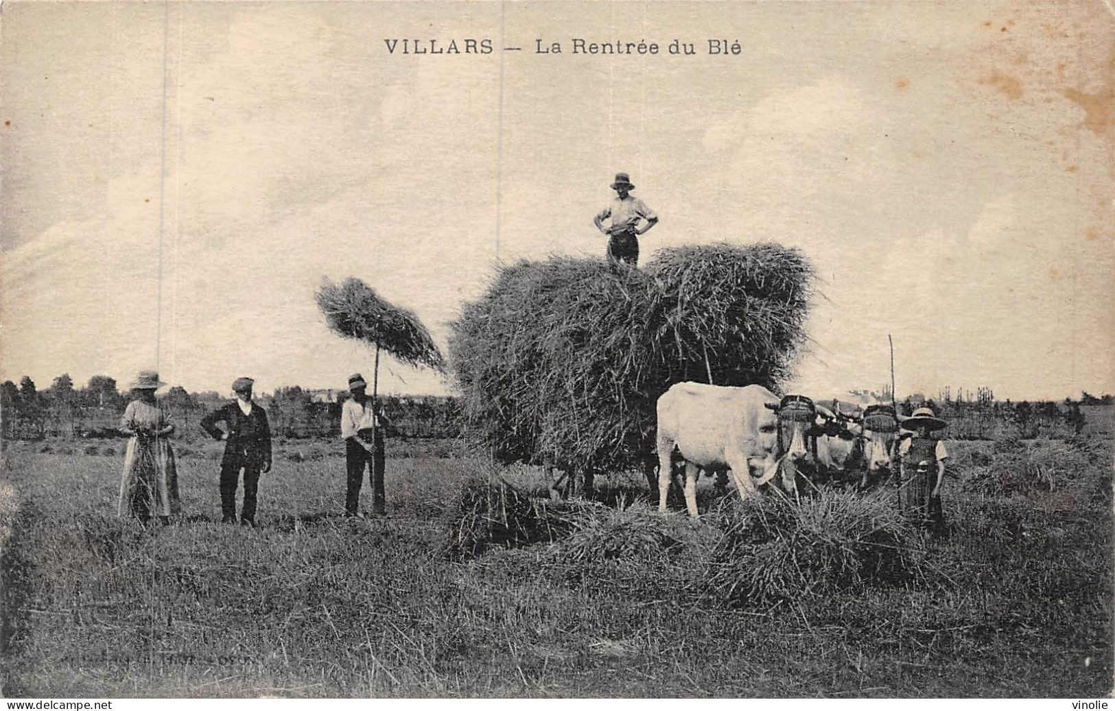 24-3980 : VILLARS. LA RENTREE DU BLE. MOISSON. AGRICULTURE - Villars-les-Dombes