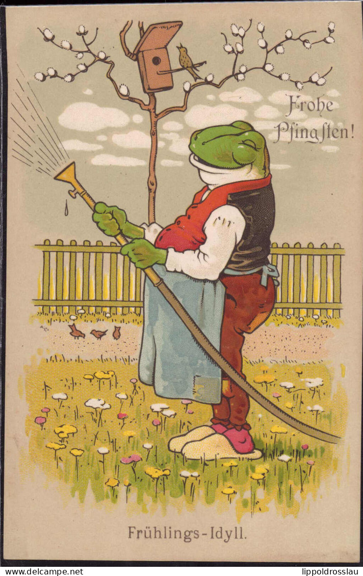 * Unser Wetterprophet Frosch M&B 1903 - Autres & Non Classés