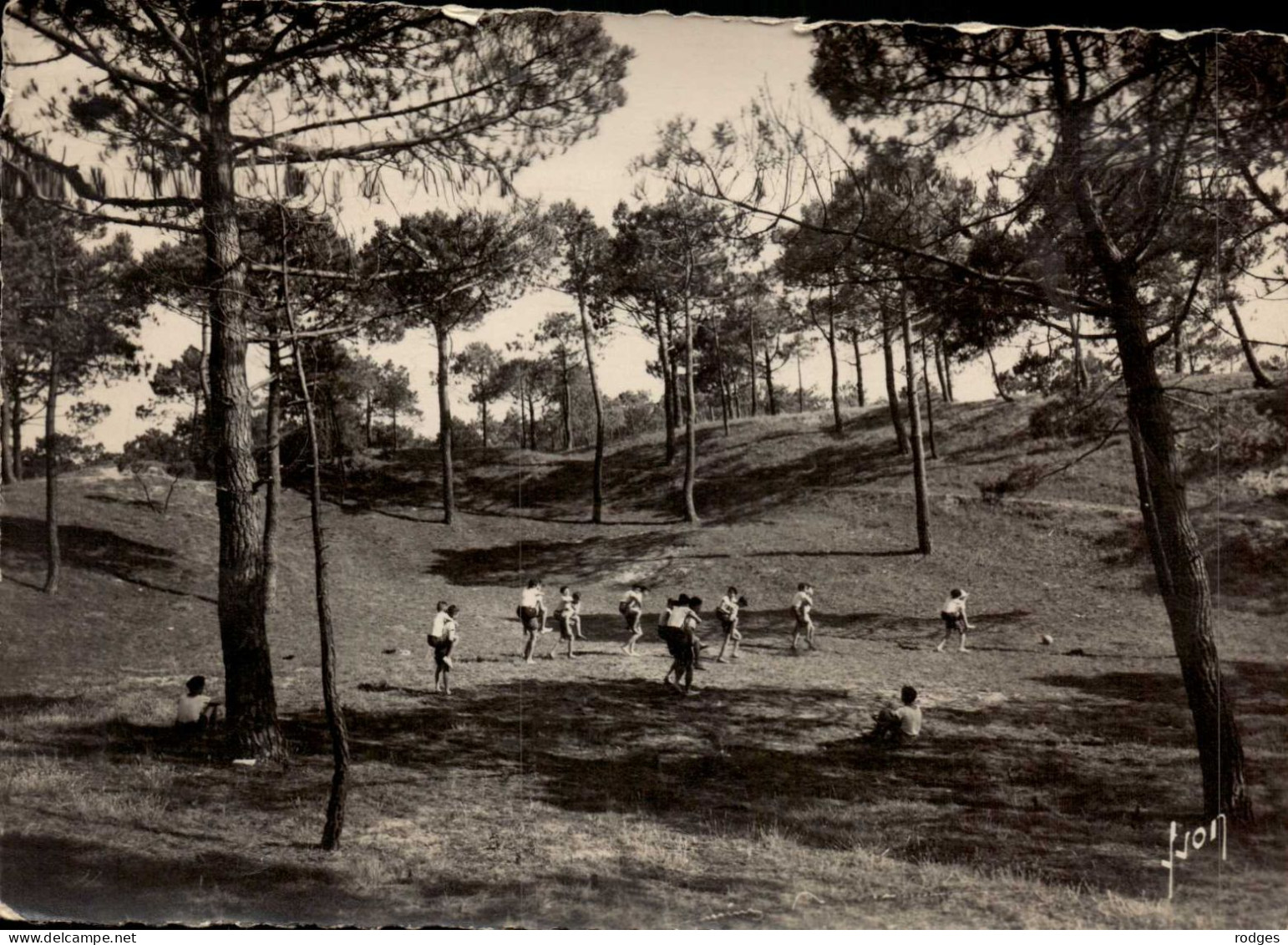 85 , Cpsm  SAINT HILAIRE De RIEZ , Colonie De Vacances De La Ville D'ARGENTEUIL , Jeux Dans Les Dunes (12290) - Saint Hilaire De Riez