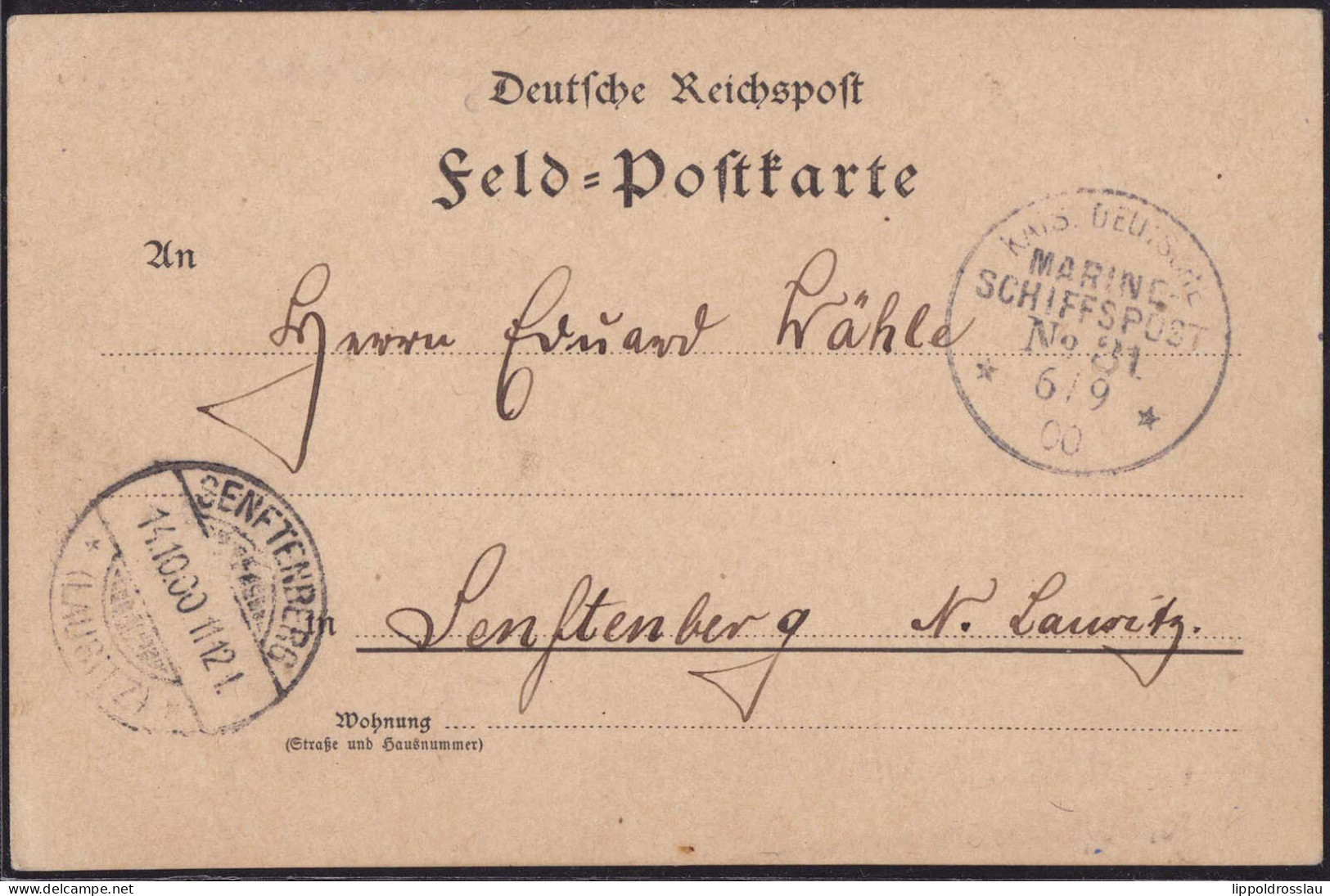 Gest. MSP Boxeraufstand MSP No. 31 6.9.1900 - Geschichte