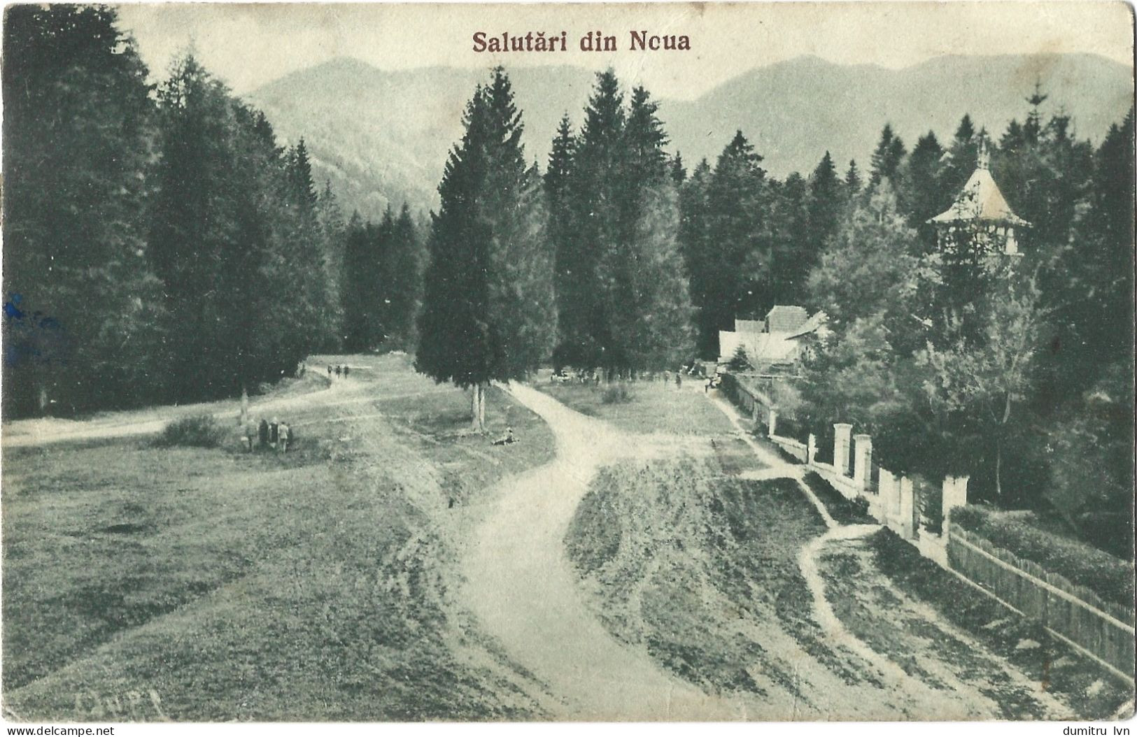 ROMANIA 1929 GREETINGS FROM NOUA (BRASOV), BUILDINGS, HOUSES, PEOPLE, FOREST, MOUNTAIN LANDSCAPE - Rumänien