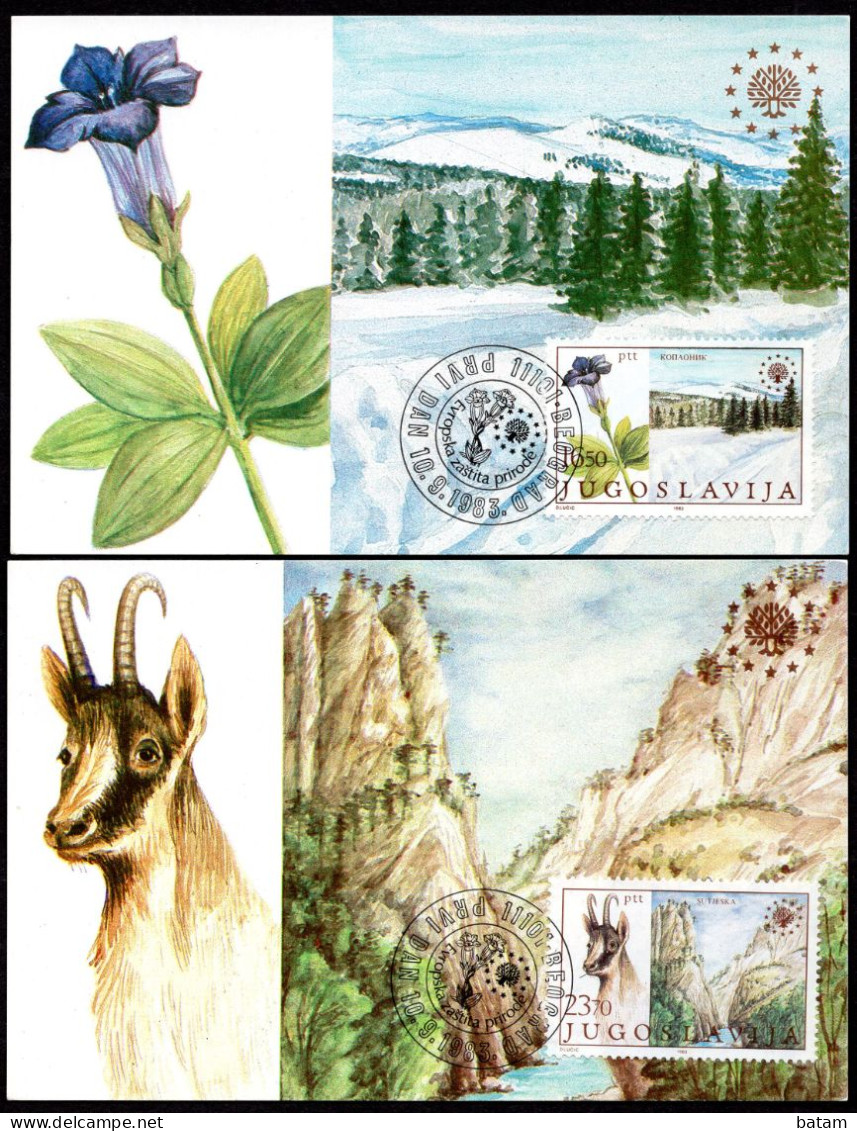 Yugoslavia 1983 -  European Nature Conservation - Chamois - Maximum Card - Covers & Documents