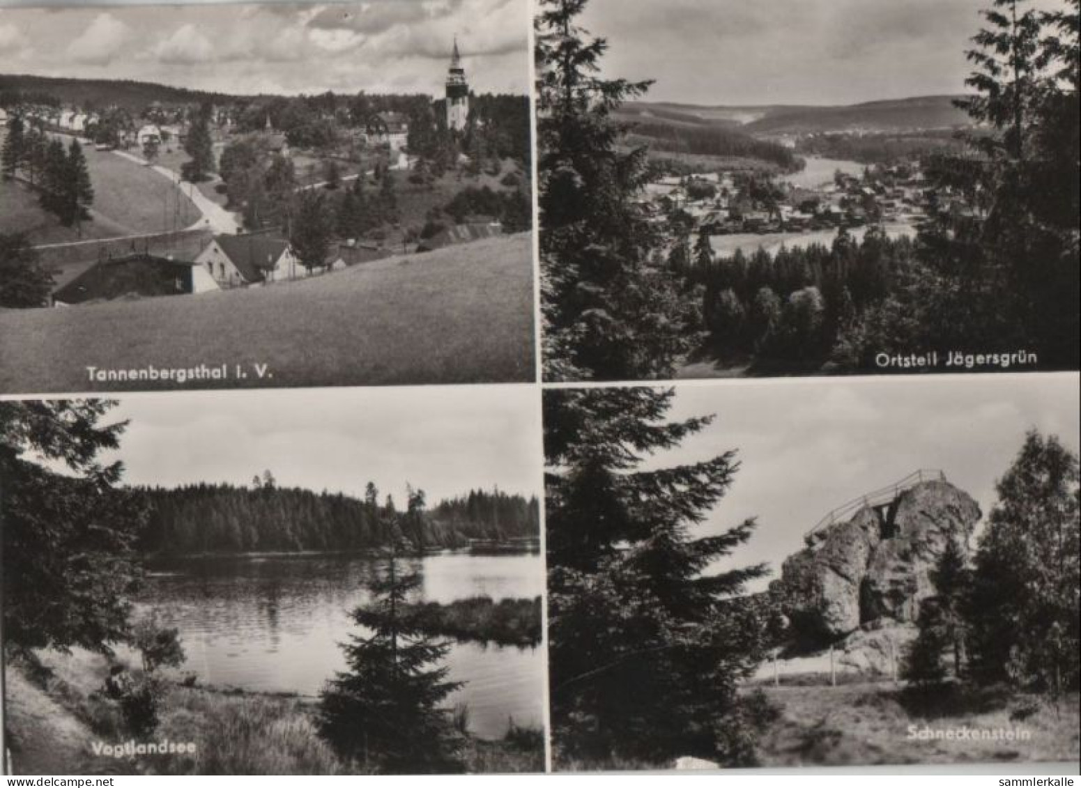 56439 - Tannenbergsthal - U.a. Schneckenstein - 1980 - Plauen