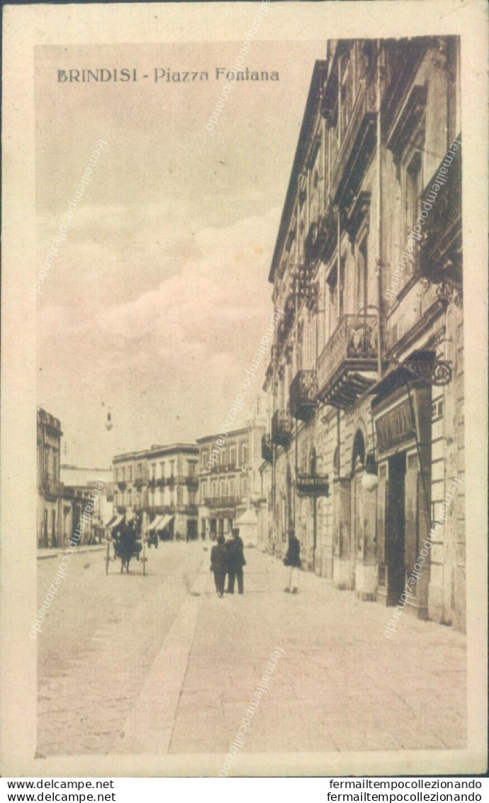 Ae206 Cartolina Brindisi  Citta' Piazza Fontana - Brindisi