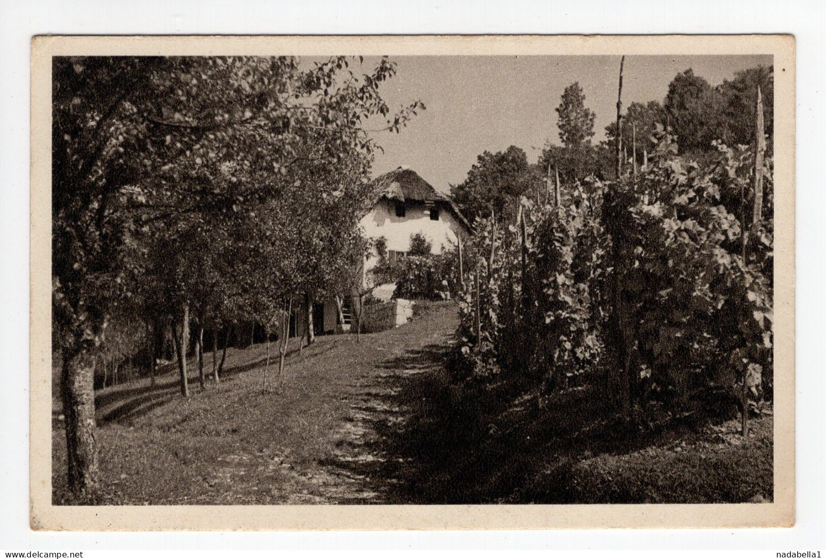 19.5.1945. YUGOSLAVIA,SLOVENIA,HMELJNIK,VILLAGE HOUSE AND VINEYARD,POSTCARD,USED - Yougoslavie