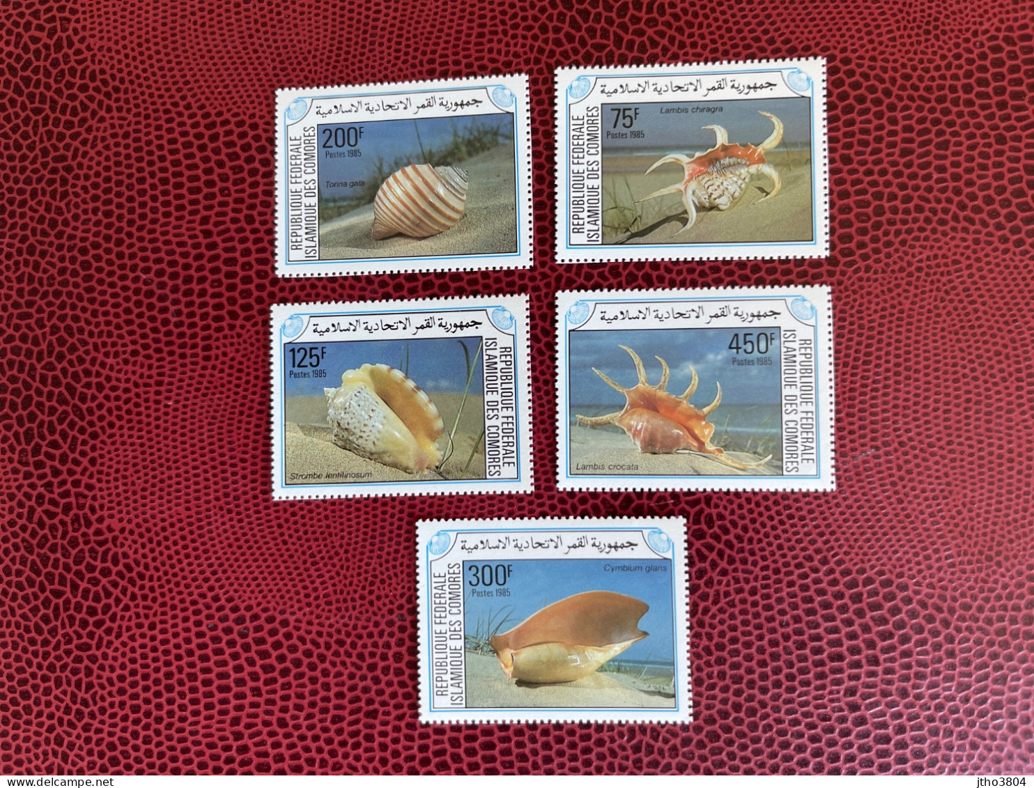 COMORES 1985 ** Michel 746 A 750 Coquillages Marine Gastropods Shell COMOROS KOMOREN - Muscheln