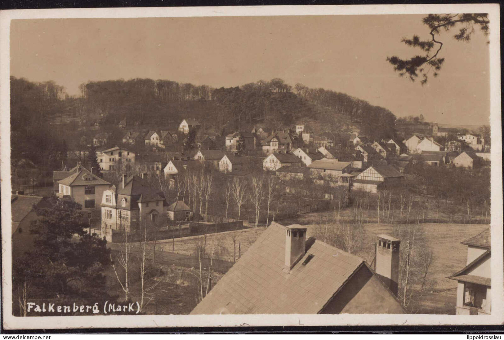 Gest. O-1241 Falkenberg Blick Zum Ort 1927 - Fürstenwalde