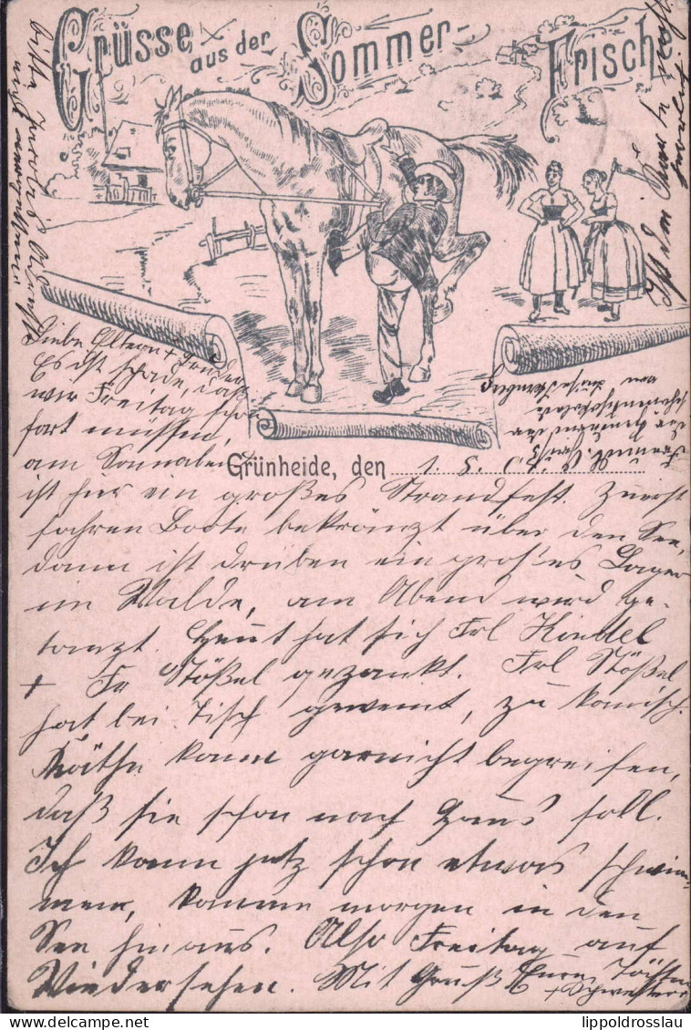 Gest. O-1250 Grünheide Bei Erkner Sommerfrische 1904 - Erkner