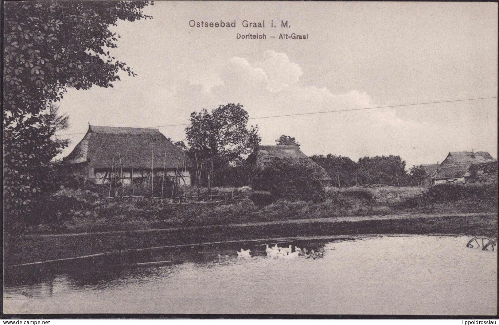 * O-2553 Graal-Müritz Dorfteich - Rostock