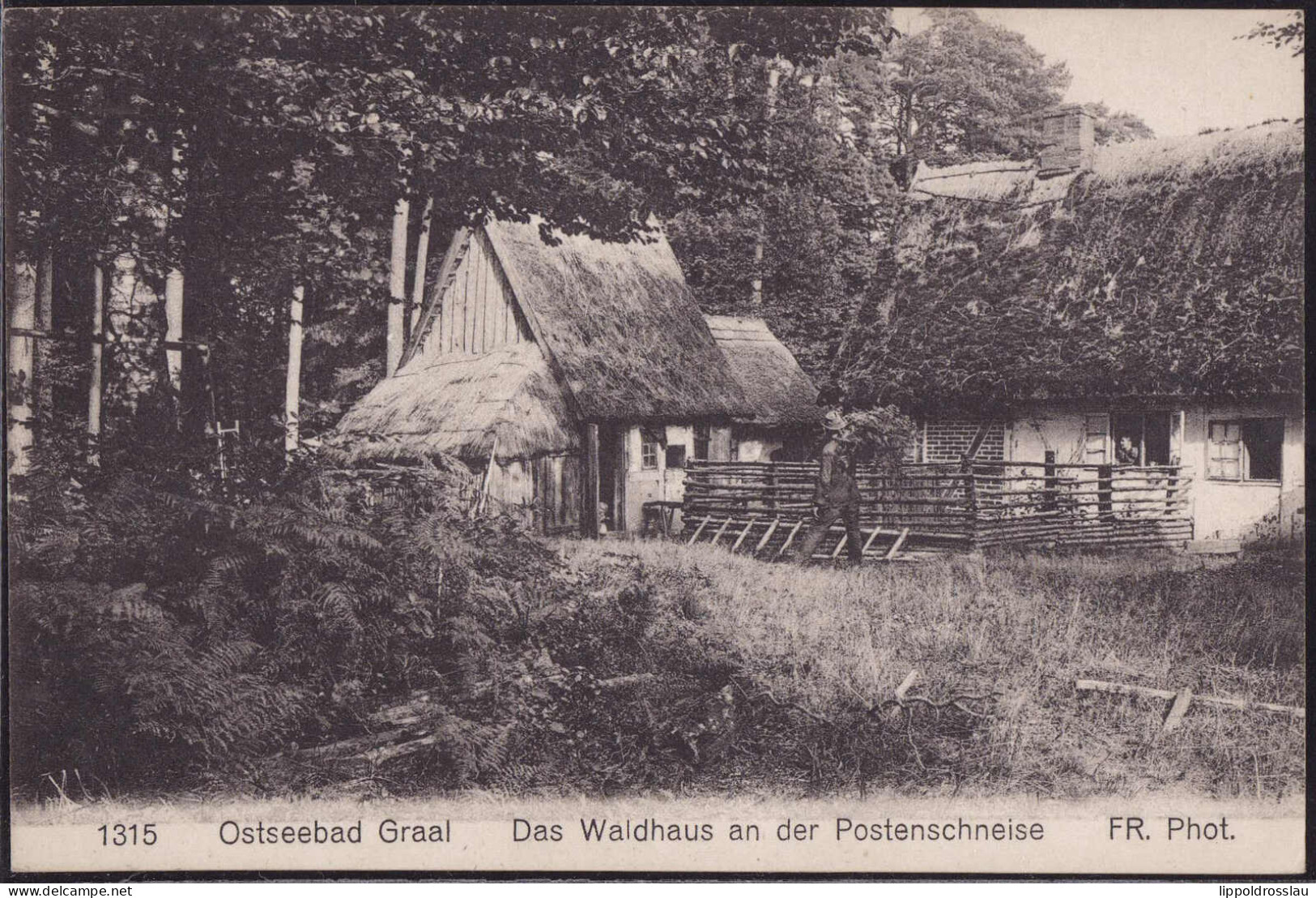 * O-2553 Graal-Müritz Waldhaus An Der Postenschneise 1926 - Rostock