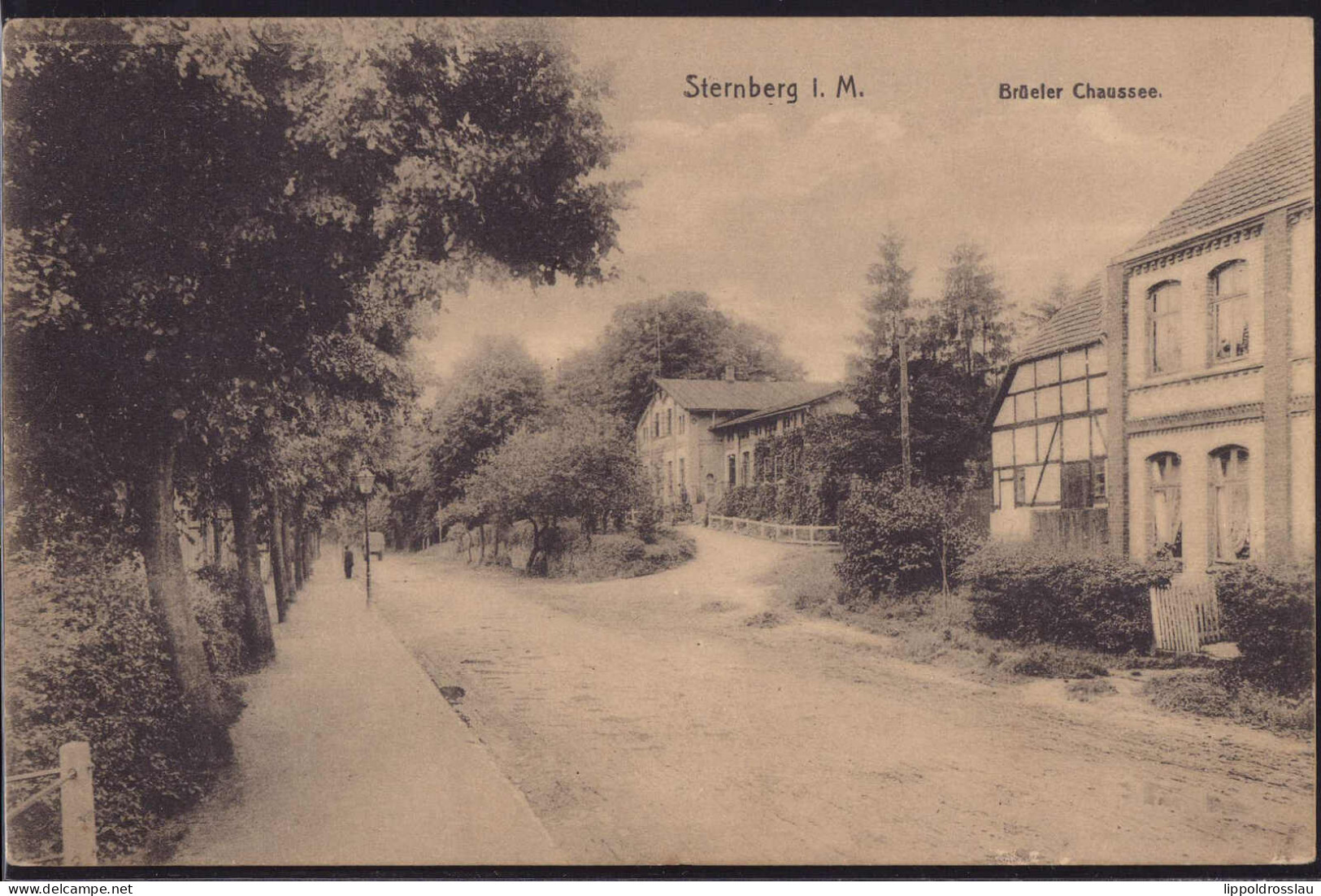 Gest. O-2720 Sternberg Brüeler Chaussee 1919 - Sternberg