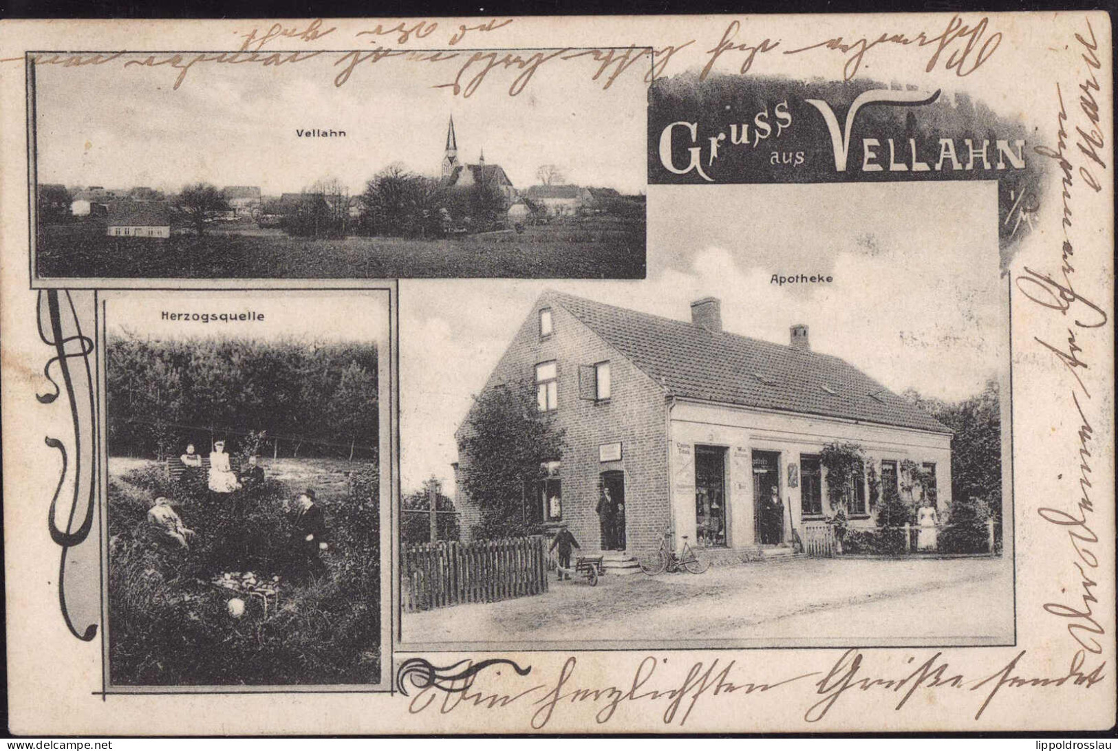 Gest. O-2831 Vellahn Apotheke 1903 - Boizenburg