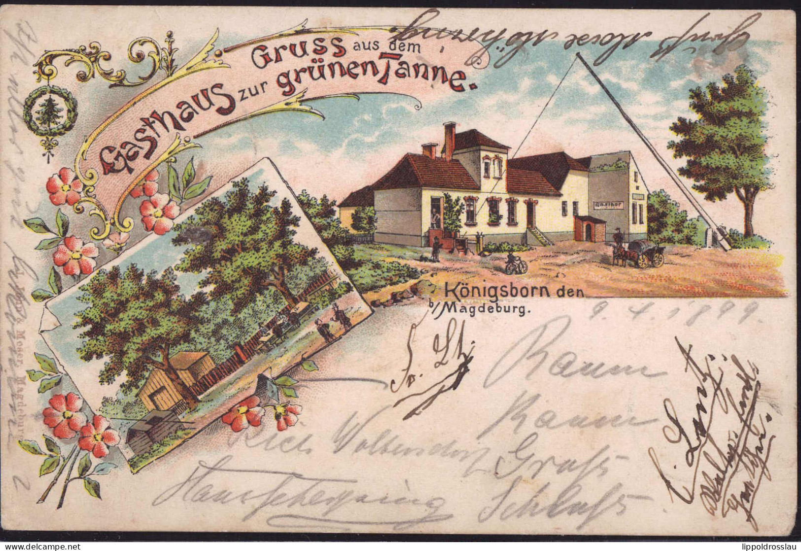 Gest. O-3101 Königsborn Gasthaus Zur Grünen Tanne 1899, Briefmarke Entfernt, 1x Best. Ecke - Maagdenburg