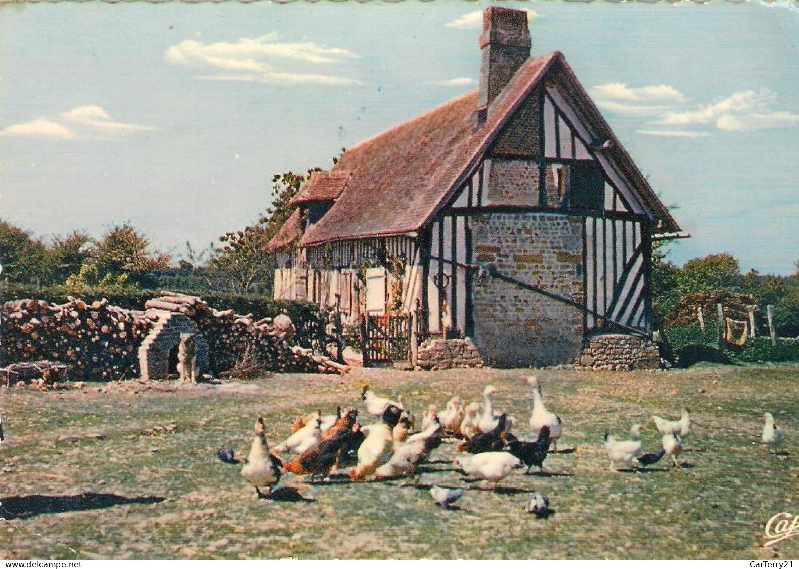 CPSM. FERME NORMANDE. LA BASSE COUR. 1960. - Bauernhöfe