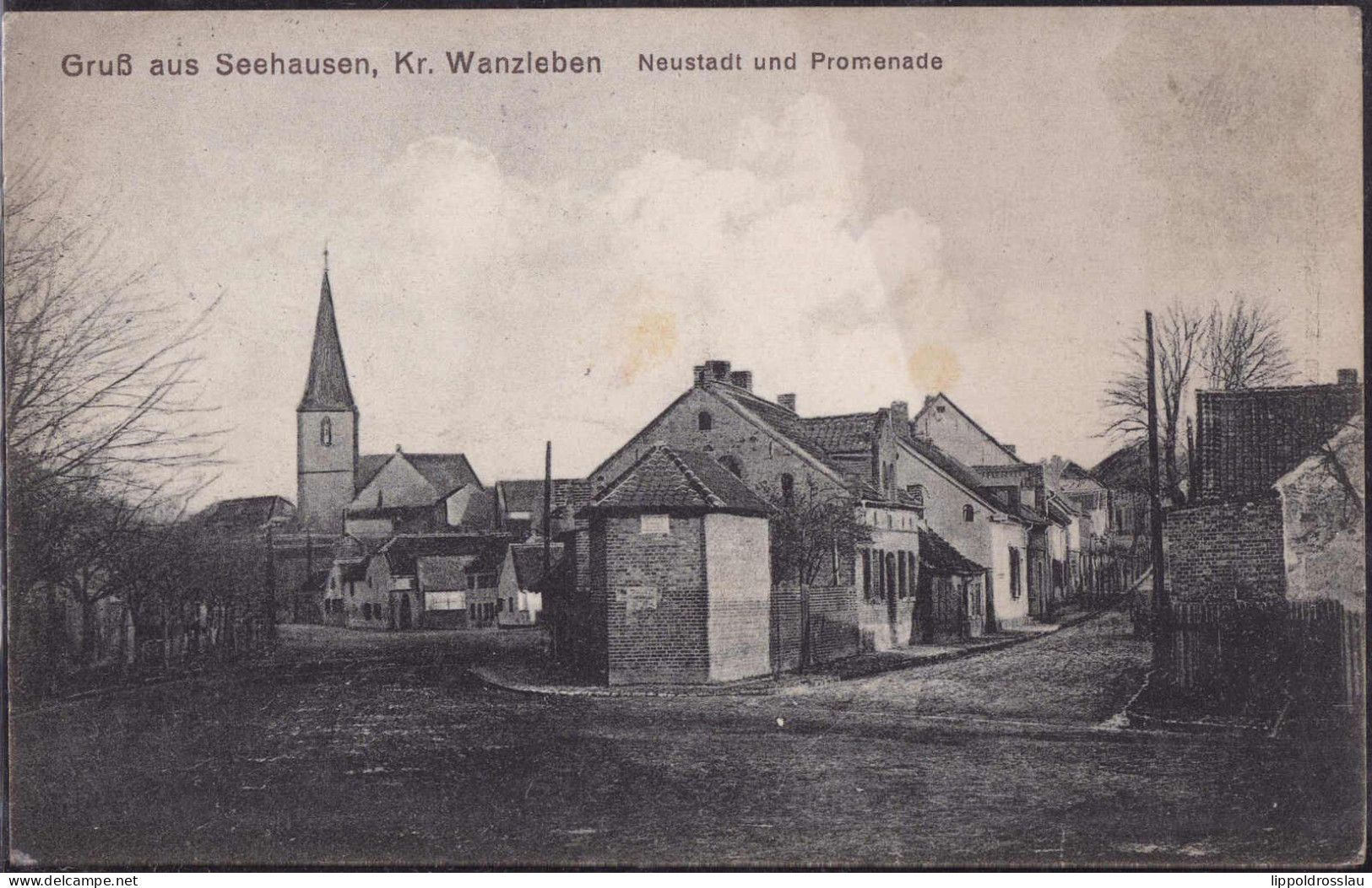 Gest. O-3223 Seehausen Neustadt Promenade, Feldpost 1917 - Lutherstadt Eisleben