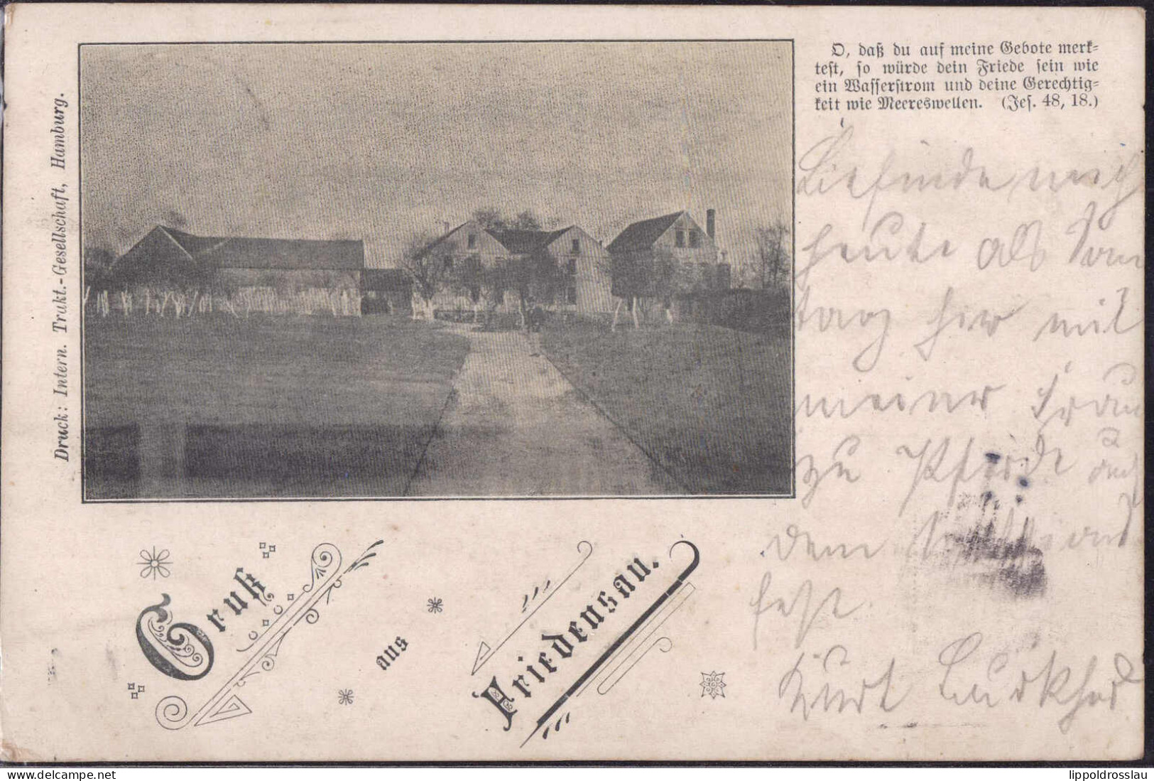 Gest. O-3271 Friedensau Blick Zum Ort 1909, Briefmarke Entfernt - Burg