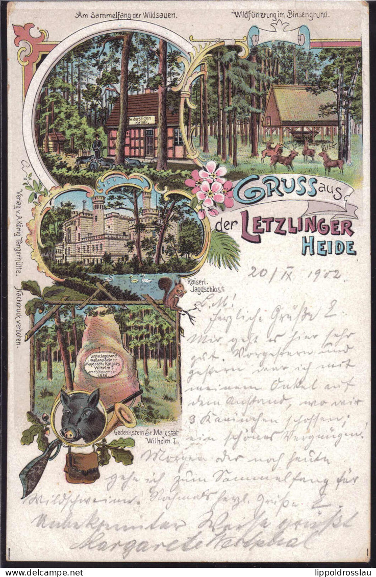 Gest. O-3571 Letzlingen Gruss Aus Der Heide 1902 - Gardelegen