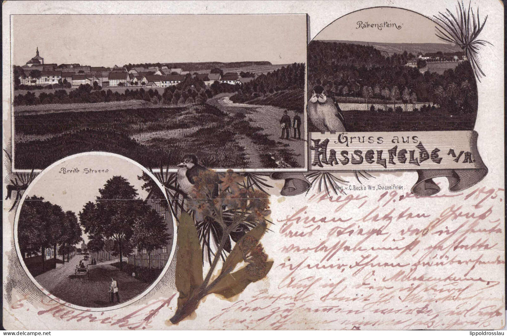 Gest. O-3723 Hasselfelde Breite Straße Blick Zum Ort 1895 - Blankenburg