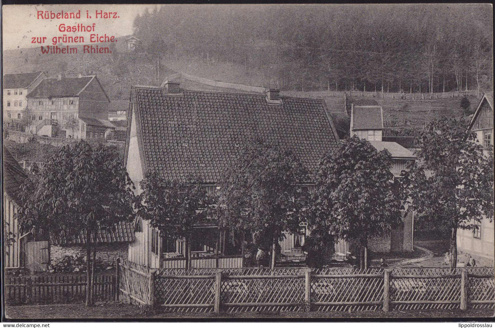 Gest. O-3725 Rübeland Gasthaus Zur Grünen Eiche 1907 - Blankenburg