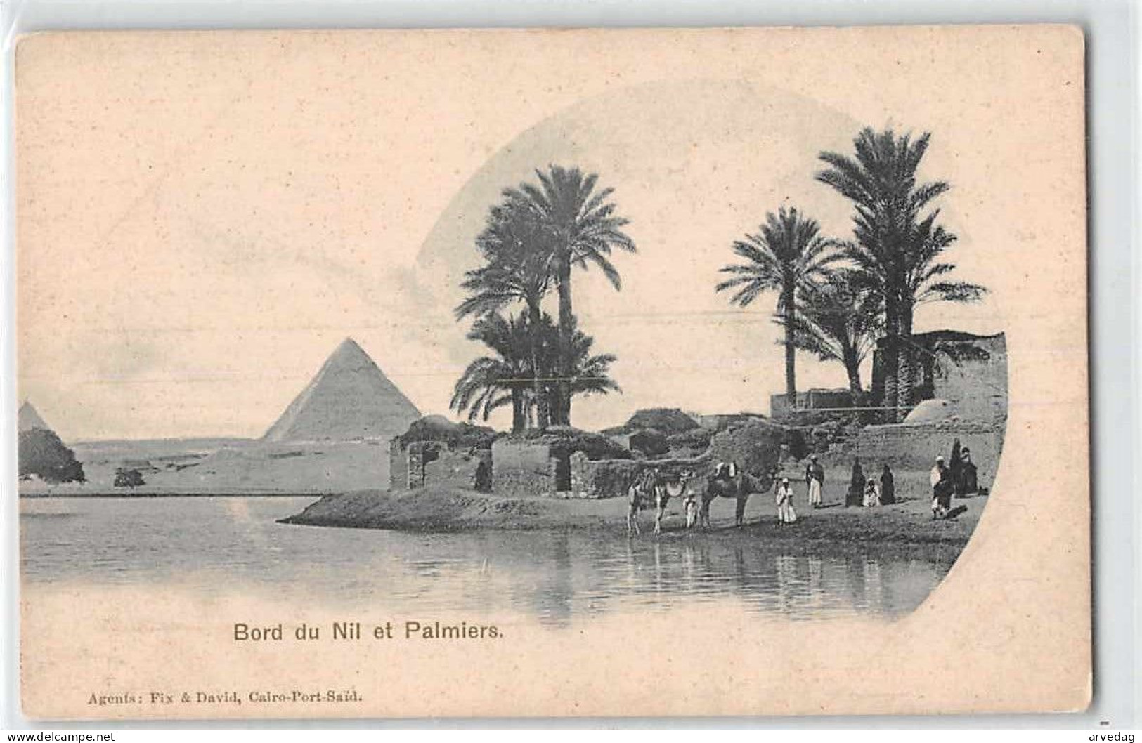 16455 EGYPT BORD DU NIL ET PALMIERS - Pirámides