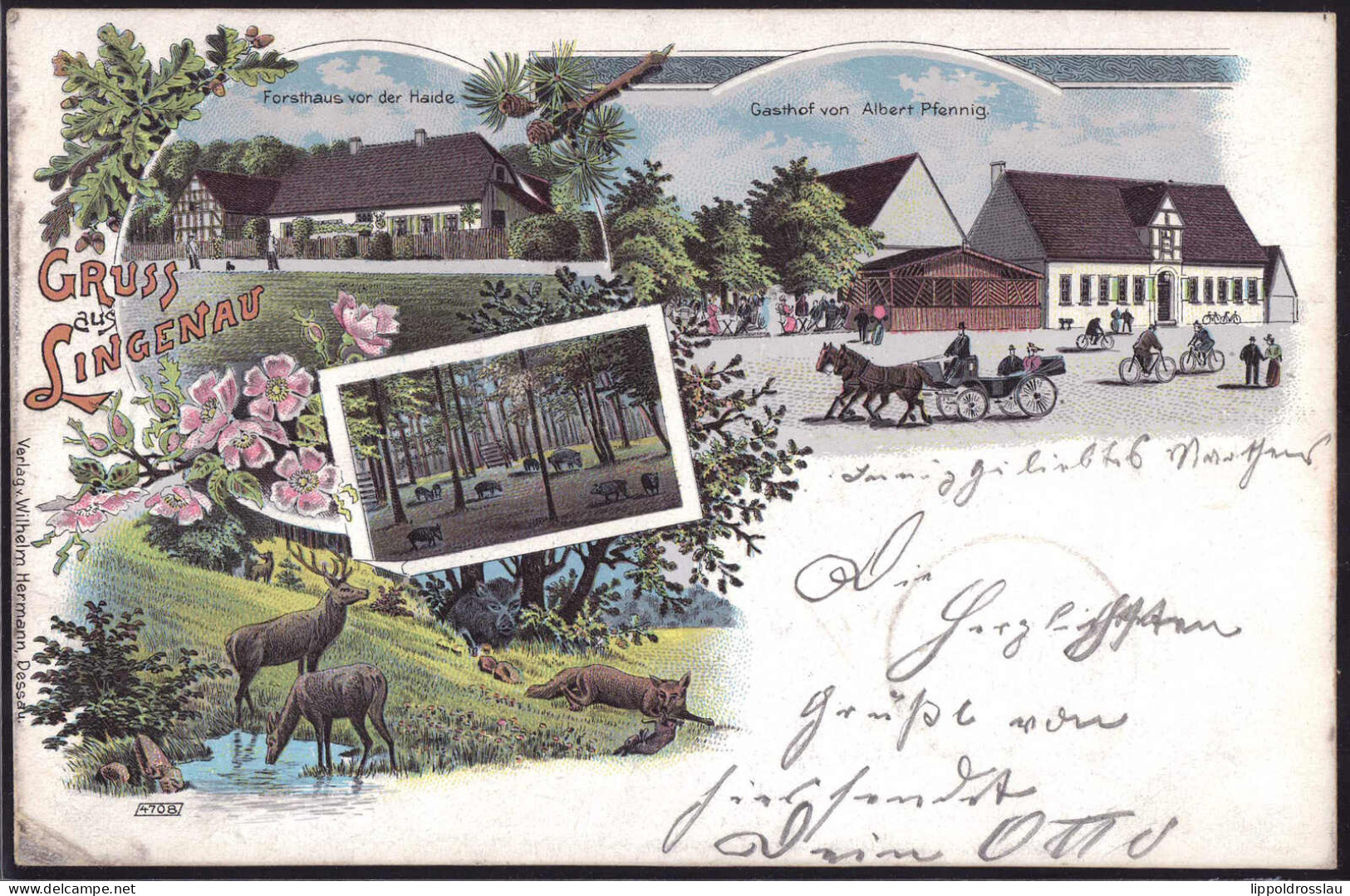 Gest. O-4401 Lingenau Gasthaus Albert Pfennig, Forsthaus Vor Der Haide 1900 - Bitterfeld