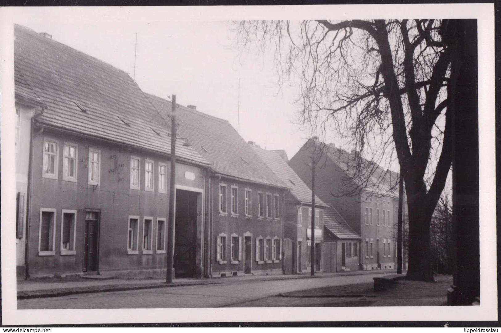 * O-4415 Zörbig Foto-AK 50er Jahre - Bitterfeld