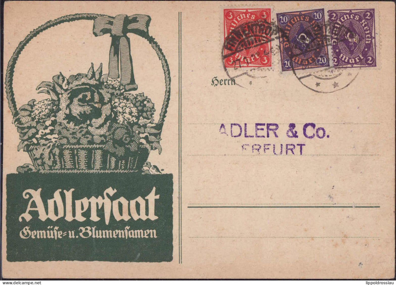 Gest. O-5000 Erfurt Gemüse Und Blumensamen Adlersaat 1923 - Erfurt