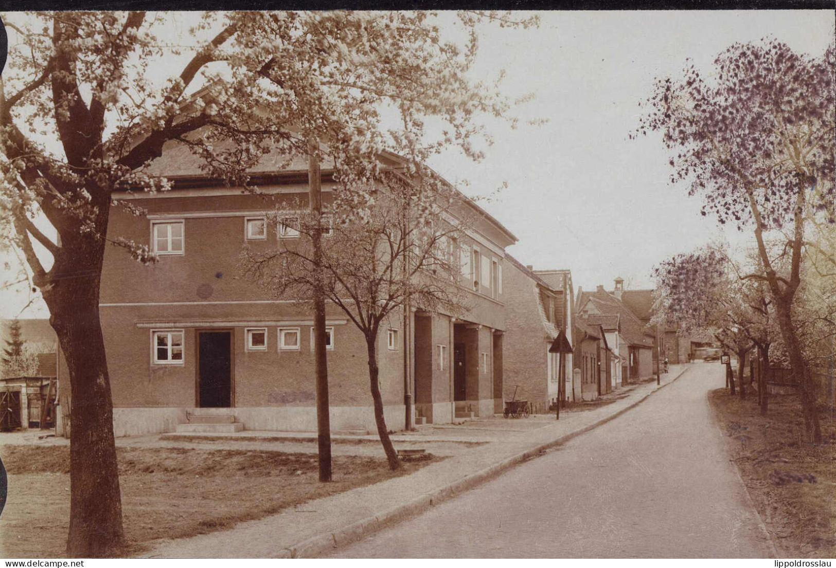 * O-5321 Nauendorf Dorfstraße Foto 15,5x10 Cm, Keine AK - Apolda